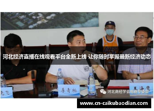 河北经济直播在线观看平台全新上线 让你随时掌握最新经济动态